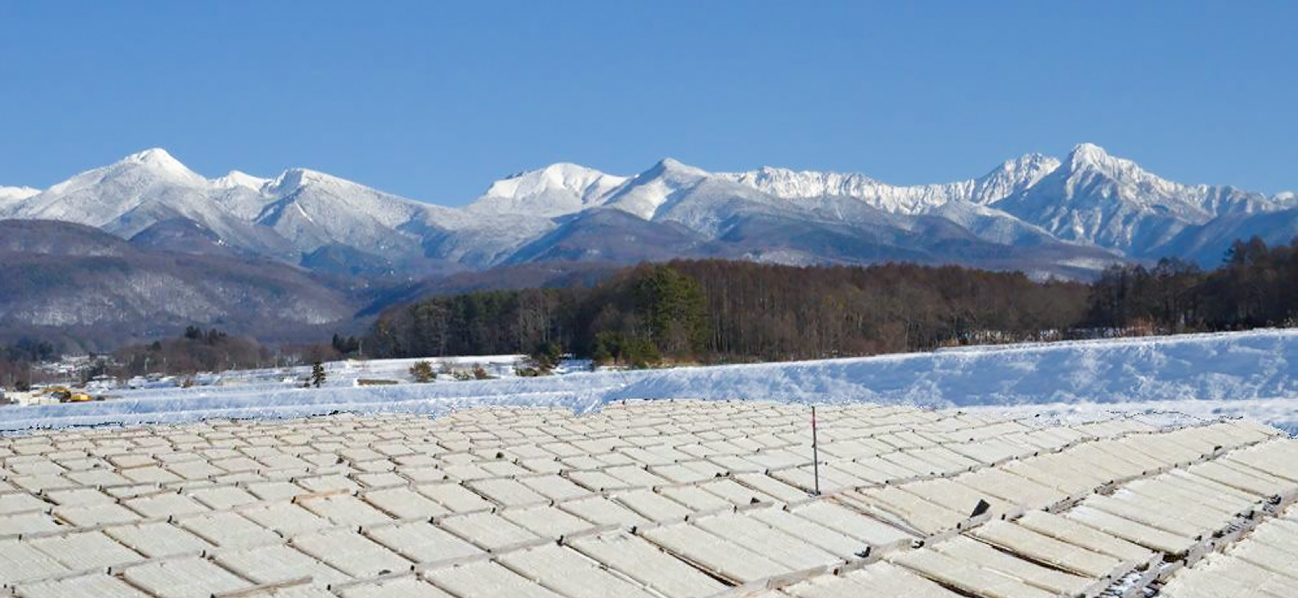 長野県寒天水産加工業協同組合